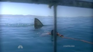 Dateline Survivor Jaws  Dateline NBC [upl. by Erlin]