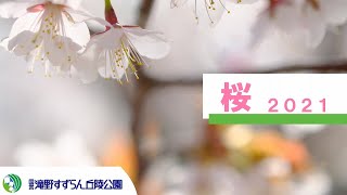 桜2021 国営滝野すずらん丘陵公園 [upl. by Adne]