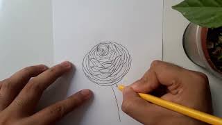 How to draw Ranunculus flower [upl. by Eelrak389]