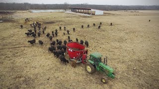 CowCalf Operation Willer amp Ekern Farms Jaylor 5425 TMR Mixer [upl. by Waylon]