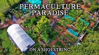 Inspirational SmallScale Permaculture Homestead  Low Cost SelfSufficiency on Less Than an Acre [upl. by Eirrac215]