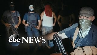 Cartel Land Explores Deadly Consequences of Illegal Drug Trade [upl. by Harbird]