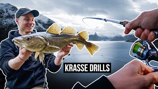 FETTE Fische vom Ufer FinesseAngeln in Norwegen [upl. by Karylin]