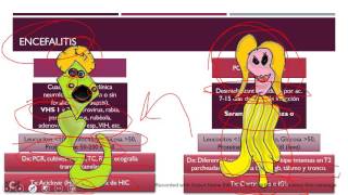 Neurología Pediátrica Repaso rápido ENARMMIR [upl. by Bernete]