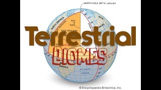 Terrestrial Biomes [upl. by Sankaran53]