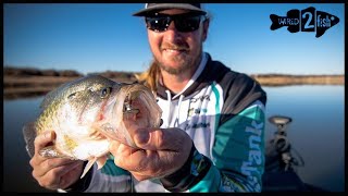 Crappie Fishing for Winter Giants  5 Modern Tips [upl. by Roel]