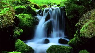 MOUNTAIN STREAM Nature Sounds 10 Hours Relax Meditate Sleep [upl. by Lazaruk]