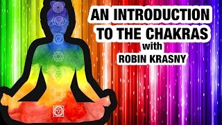 Beginners Guide to Chakras  Everything You Need to Know About Chakras [upl. by Onifur]