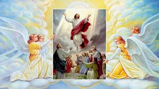 Holy Rosary  Glorious Mysteries  Wednesday amp Sunday [upl. by Weatherby670]