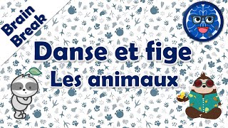 BRAIN BREAK  Danse et fige  LES ANIMAUX [upl. by Zweig476]