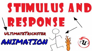 STIMULUS AND RESPONSE ANIMATION🐉🐉 [upl. by Eaves118]