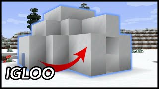 What Is Inside An Igloo In Minecraft [upl. by Edia]