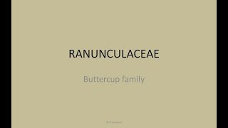 Ranunculaceae family in homoeopathy [upl. by Hacceber]