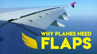 Why Do Planes Have Flaps  Fly Anatomy [upl. by Dunlavy]