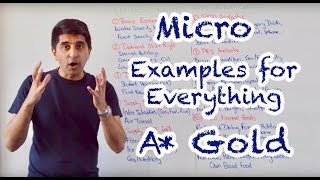 Micro Examples for Literally Everything Pure A Gold [upl. by Ahseenyt402]