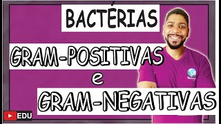 BACTÉRIAS Gram POSITIVAS e Gram NEGATIVAS I MICROBIOLOGIA I Prof Michael Bryan [upl. by Navi]