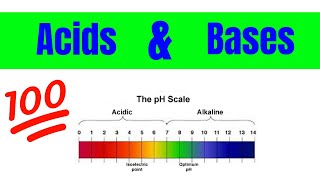 Properties of Acids and Bases  The Basics [upl. by Toiboid312]