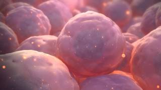 Stem Cell Animation [upl. by Rez780]