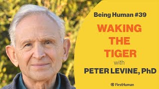 39 WAKING THE TIGER  PETER LEVINE PhD  Being Human [upl. by Furr]