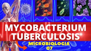 MYCOBACTERIUM TUBERCULOSIS  MICROBIOLOGIA BACTÉRIAS PATOGÊNICAS  TUBERCULOSE [upl. by Woodberry]