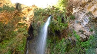 Ein Gedi and the Waterfall Of David [upl. by Weylin]