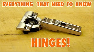 Cabinet Door Hinges  Everything you need to Know [upl. by Rennie]