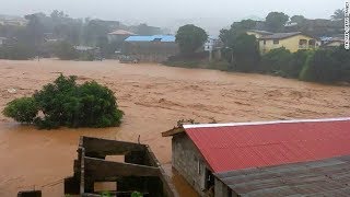 Hundreds feared dead in Sierra Leone mudslides [upl. by Fidole466]