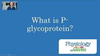 What is Pglycoprotein [upl. by Norma599]