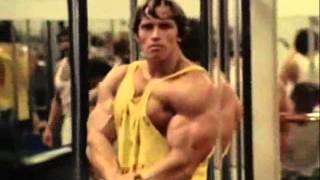 bodybuilding motivation arnold schwarzenegger [upl. by Winebaum]