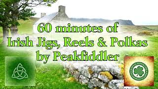 60 minutes Irish Jigs Reels amp Polkas [upl. by Hi]