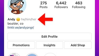 How to Add Pronouns to Instagram Bio she he her him etc [upl. by Lubeck]