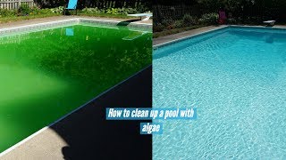 Clean and Vacuum Swimming Pool with Algae [upl. by Christis]