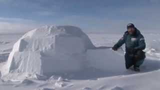 Kids Igloo  Frozen Oceans  Arctic [upl. by Schargel]