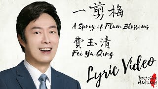 一剪梅 A Spray of Plum Blossoms  费玉清 Fei Yu Qing  Chinese  Pinyin  English Lyrics 歌詞 [upl. by Emlynne]