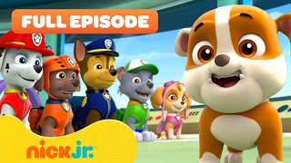 Rubble Joins the PAW Patrol and the Pups Save a Walrus  FULL EPISODES  Nick Jr [upl. by Gabriella]