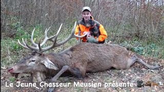 Chasse Aux Gros Gibiers Cerfs sangliers chevreuils renards [upl. by Reichert]