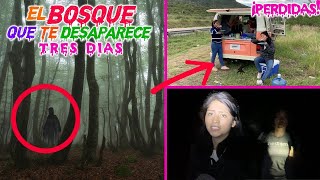 🌳🌗Una Noche Atrapadas en el BOSQUE ENCANTADO ¡Pusimos Pistas Para Escapar  TERROR MERLIN [upl. by Ahseia]