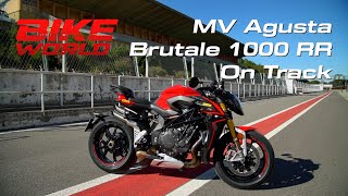 MV Agusta Brutale 1000 RR On Track [upl. by Ojimmas808]