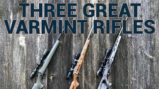 Three Great Varmint Rifles [upl. by Brightman]