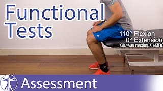 Functional Assessment in Physiotherapy [upl. by Gladwin]