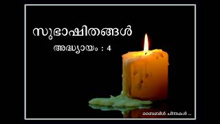 PROVERBS  Malayalam Audio Bible  full chapters 131 [upl. by Rawdon]