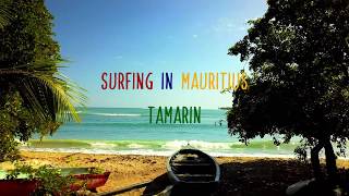 Surfing in Mauritius Tamarin [upl. by Adnarom]