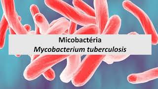 Microbiologia Médica Mycobacterium tuberculosis [upl. by Aelaza546]