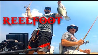 ReelFoot Crappie CUSTOM LIVESCOPE MOUNT [upl. by Bary829]