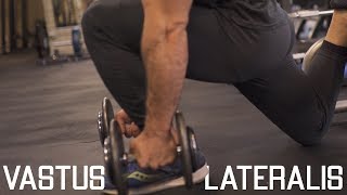 How To Grow Your Outer Quads  Vastus Lateralis Exercies “Quad Sweep” [upl. by Ellerad]