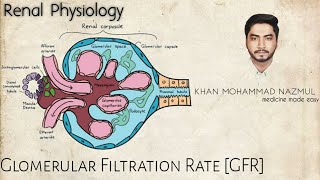 Glomerular Filtration Rate GFR  renal physiology  বাংলা [upl. by Donia]