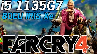 Far Cry 4  Intel i5  1135G7 Tiger Lake Xe Graphics Performance 1080P720P [upl. by Aldarcy556]