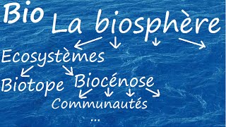 Organisation de la biosphère sans explication des règnes [upl. by Drofnil418]