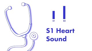 S1 Heart Sound  Learn How to Auscultate Part 8 [upl. by Soo]