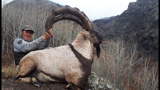 BEZOAR IBEX HUNTING TURKISH FRONTIER amp MUSTAFA YILMAZ [upl. by Ocnarfnaig]